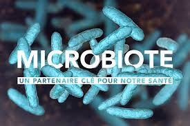 Comment avoir un microbiote en santé.