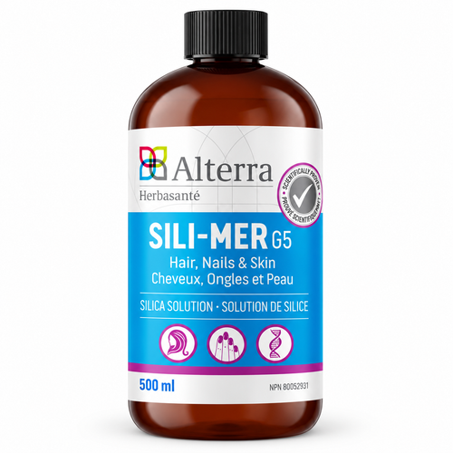 Silice de mer