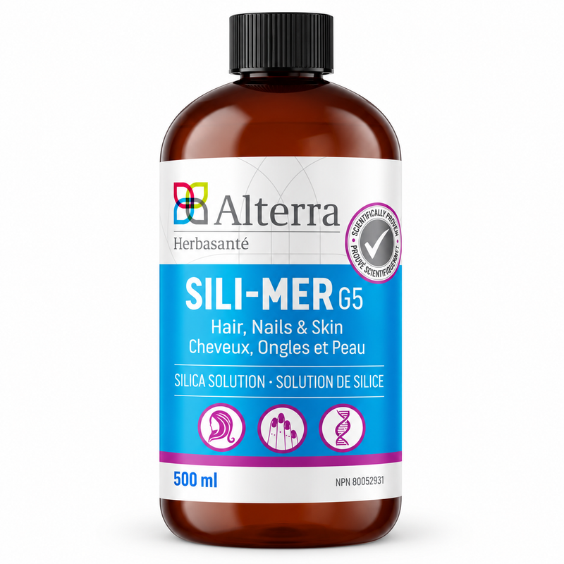 Silice de mer